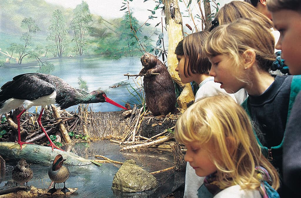 Vonderau Museum mit Planetarium